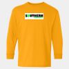  Heavy Cotton™ Long Sleeve T-Shirt (Youth) Thumbnail